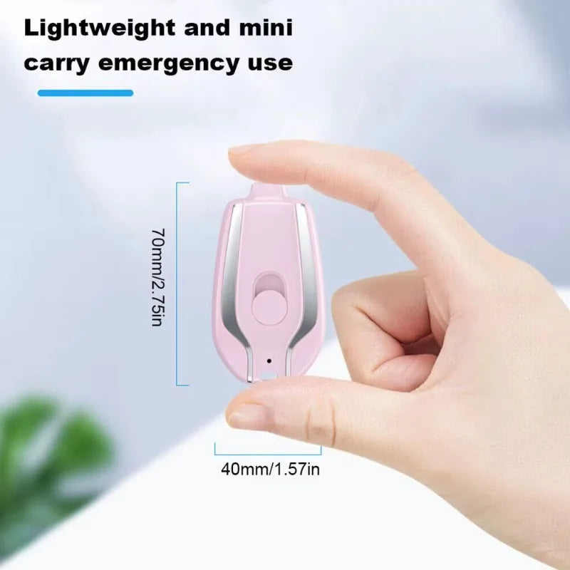 PocketPower Keychain Bank